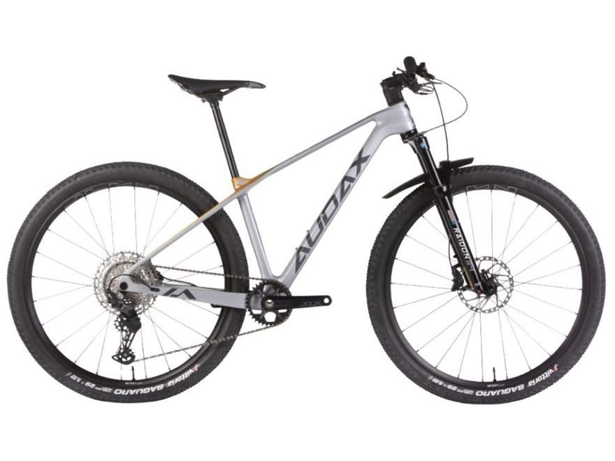 Bicicleta Audax Auge 555